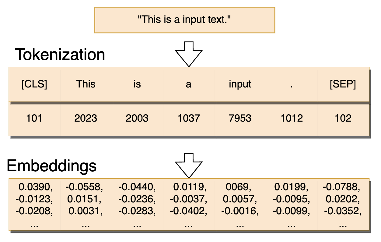 Tokenization And Embedding