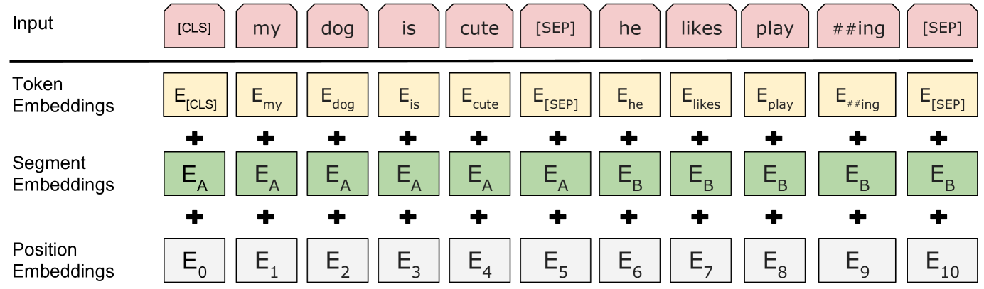 Fig.1 Input Represention