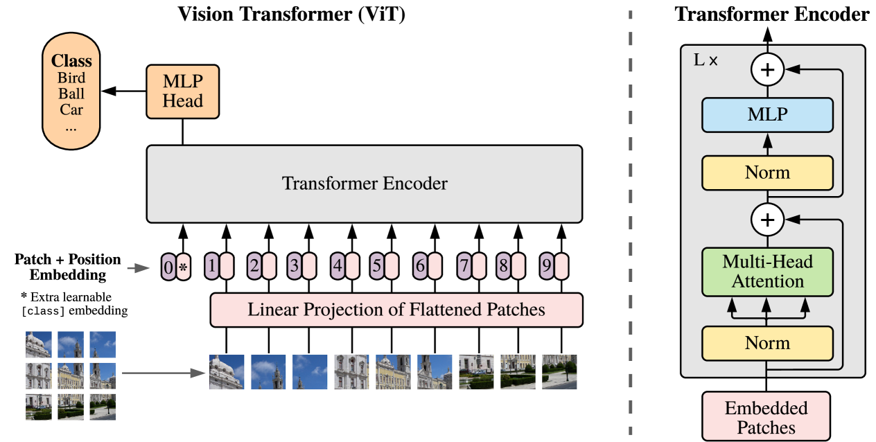 Vision Transformer